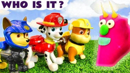 Paw Patrol Pups Mystery Ceature Guessing Game