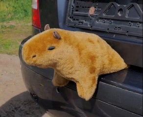 Transform Your Drive! Affordable Car Upgrade Ideas!