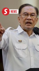 Anwar backs proposal to limit PM tenure to 10 years