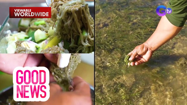 Lamang-dagat na tila pansit, panlaman-tiyan at bulsa sa Oriental Loay, Bohol! | Good News