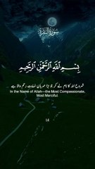 Quran قرآن Surah Al Bukrah I#surahbaqarah #quran #quran_alkarim #fyp#quranrecitation