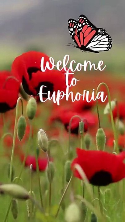 Welcome to Euphoria