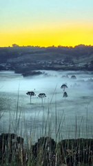 Geada e mínima de 2,5°C marcam o último final de semana do verão na Serra de SC