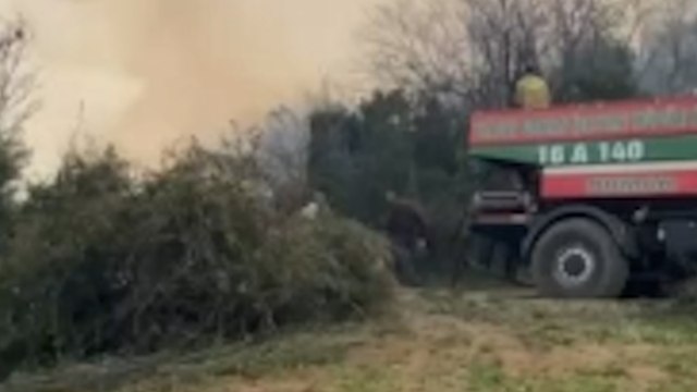 Yalova'da ormanlık alanda çıkan yangına müdahale ediliyor