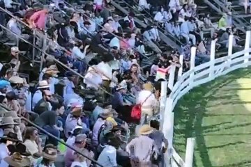 Actividades en el Ruedo Don Homero Formoso - P 2 de 2 - Patria Gaucha 2025 - Tacuarembó, sábado 15 de marzo