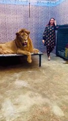 Mufasa kehta chal bhag (mian saqib)