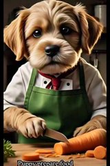 Puppy prepares food