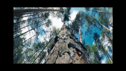 Bhediya Part 1 | Exciting Bollywood Monster Movie 🎬