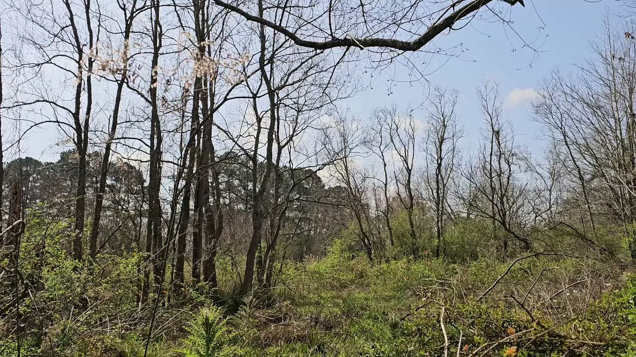 OTR Lagniappe - Daddy Tries to Get Snooks to Bed (Baby Snooks)