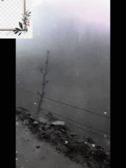 Beauty of Nature  Live snowfall