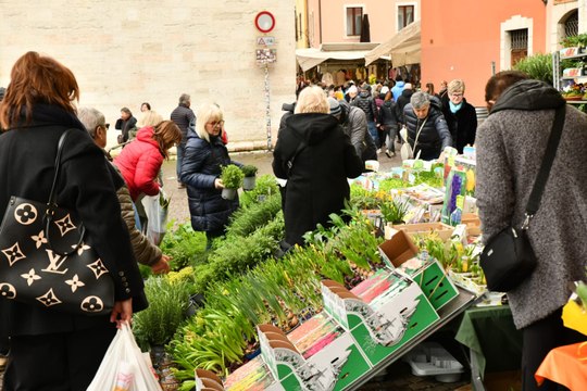 Fiera di San Giuseppe, ecco come si presentava oggi Trento