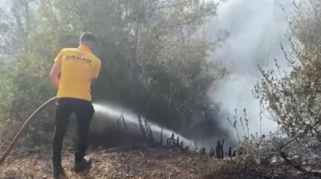 Osmaniye'de yangın: 90 dönüm alan zarar gördü