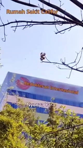  Hampanya cinta part 1