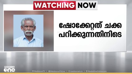 കൊല്ലത്ത് ചക്ക പറിക്കുന്നതിനിടെ വയോധികൻ ഷോക്കേറ്റ് മരിച്ചു