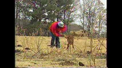 George Foreman vs Jimmy Ellis - HBO 12-7-91