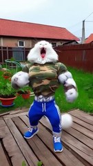 The Kitten_s Mess_ 🐱💧 Digging Trouble and a Soaked Clean-Up 🌊🛁_cattales _catfunny _animation_cat(720P_HD)