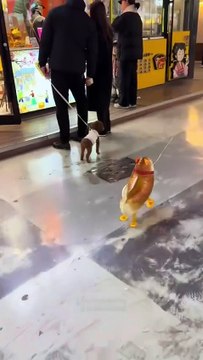 A dog's worst enemy- children's toys!#dog#dogsoftiktok #doglover #funny #funnyvideos #foryou #fypage #fypツ #funnydog #funnytiktok #dogs