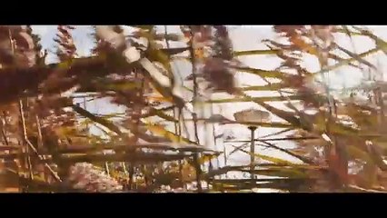 Forbidden island hid a terrifying secret! _ Best Horror Movie _ Thriller _ Full Movies in English 4K