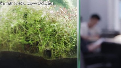 Tập 27 - Yêu Em Người Chữa Lành Vết Thương Cho Anh (Vietsub)_DV Đậu Kiêu, Miêu Miêu