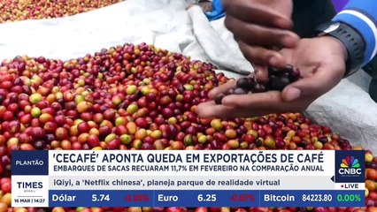 Café tem queda em exportações, segundo apontamentos da Cecafé | PLANTÃO TIMES BRASIL