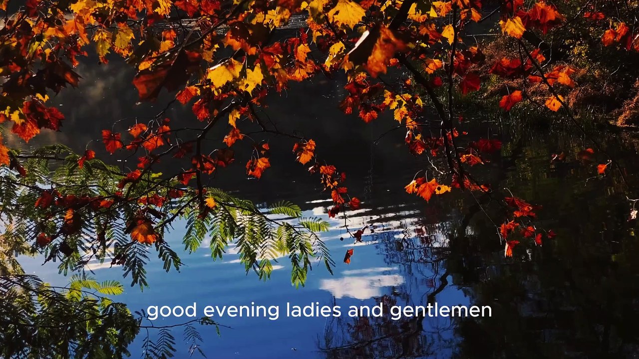 Forget the Haters Your Dreams Deserve 100% Focus || Best Motivational Speech || By Jordan Peterson