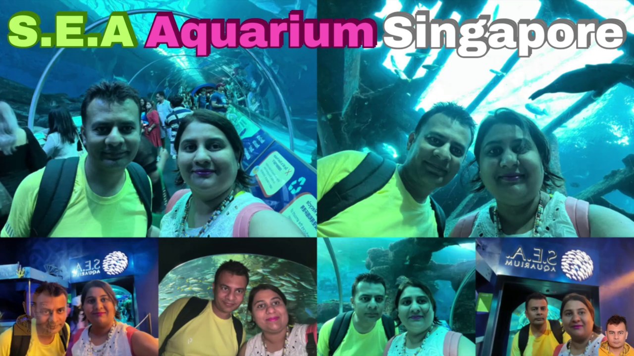 Sea Aquarium Singapore Memories | Resorts World Sentosa | Singapore | Singapore Oceanarium | Saltwater Aquarium | Aquarium | Memories | Tour