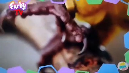Despertando con Bubbu 2 (Tramo del 07:45 al 08:00 - 10/02/2025)