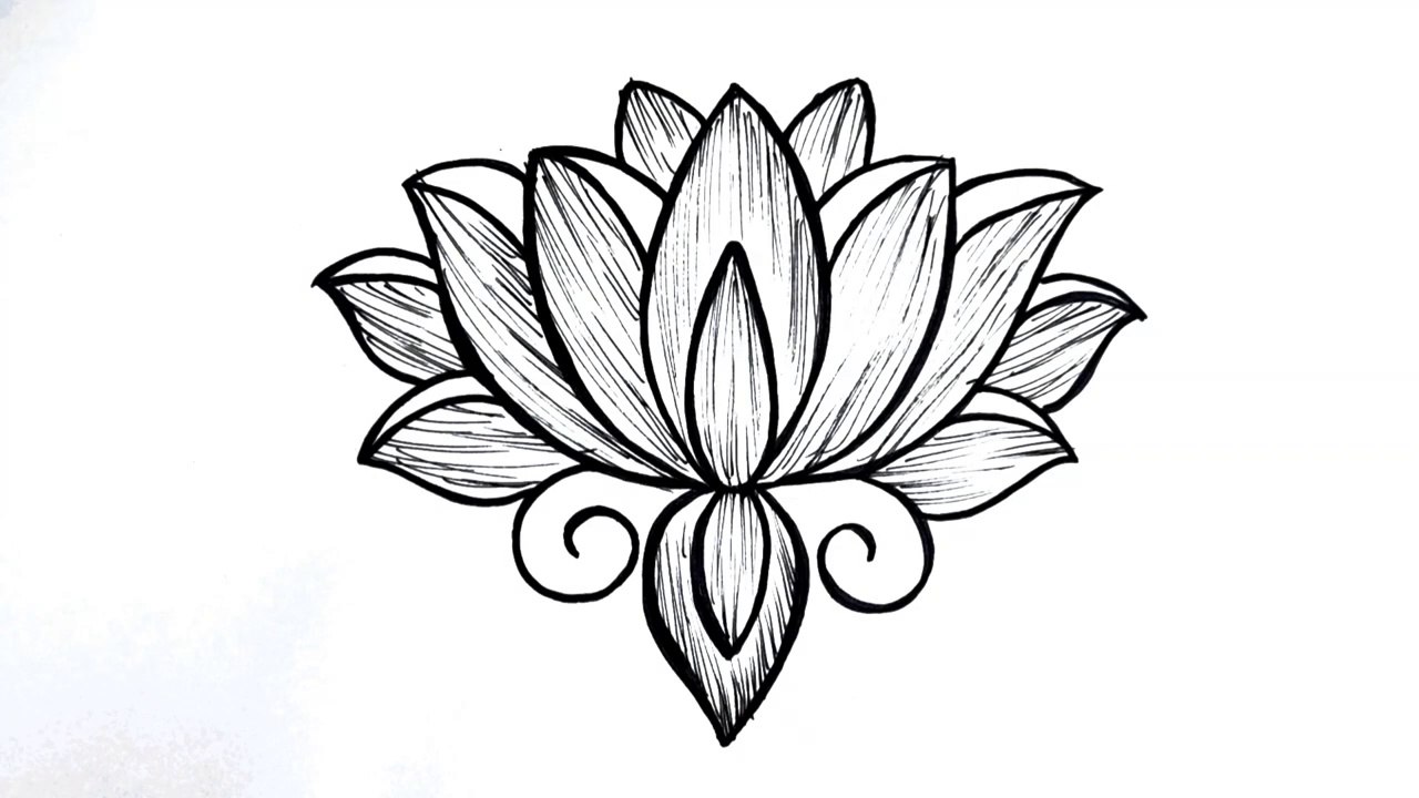 How to draw a lotus flower easy step-by-step || Flower drawing tutorial