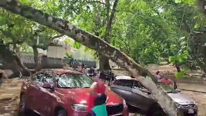 ext-incidente-limon-160325