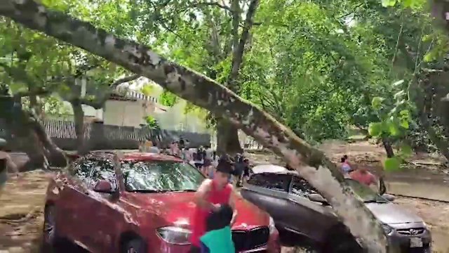 ext-incidente-limon-160325