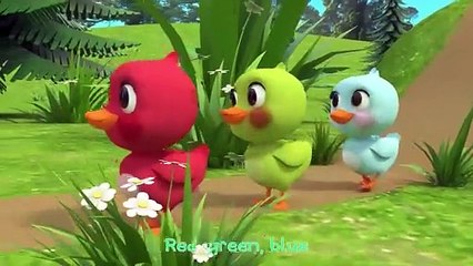 Learn Colors with 5 Rainbow Ducks - Newborn Baby Songs & Nursery Rhymes