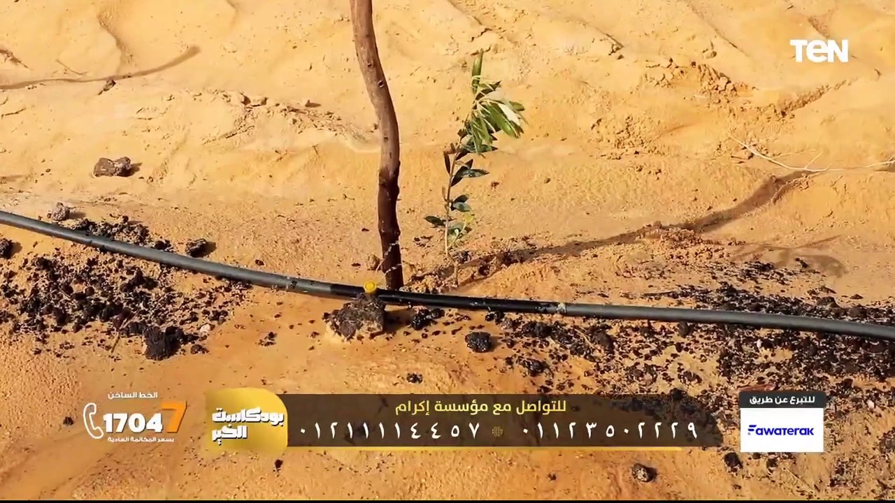 بودكاست الخير| جهود مؤسسة إكرام في أعمال الخير "وقف شجرة الزيتون"