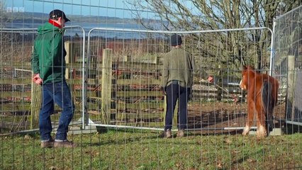 Countryfile - The Slate Landscape of North West Wales