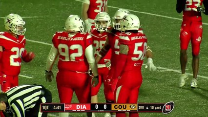 Diables Rouges de Villepinte – Cougars de Saint-Ouen l’Aumone - D1 Elite  - J6