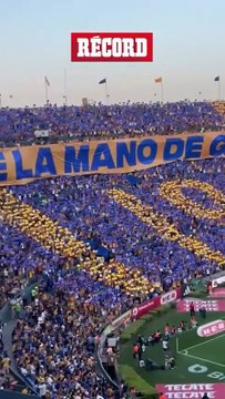 QUE DE LA MANO DE GUIDO Ojo a la manta que desplegó la afición de Tigres en apoyo a Guido Pizarro. El nuevo DT felino le agradeció el gesto a los suyos. ¡Simplemente Incomparables! @ericmendoza02