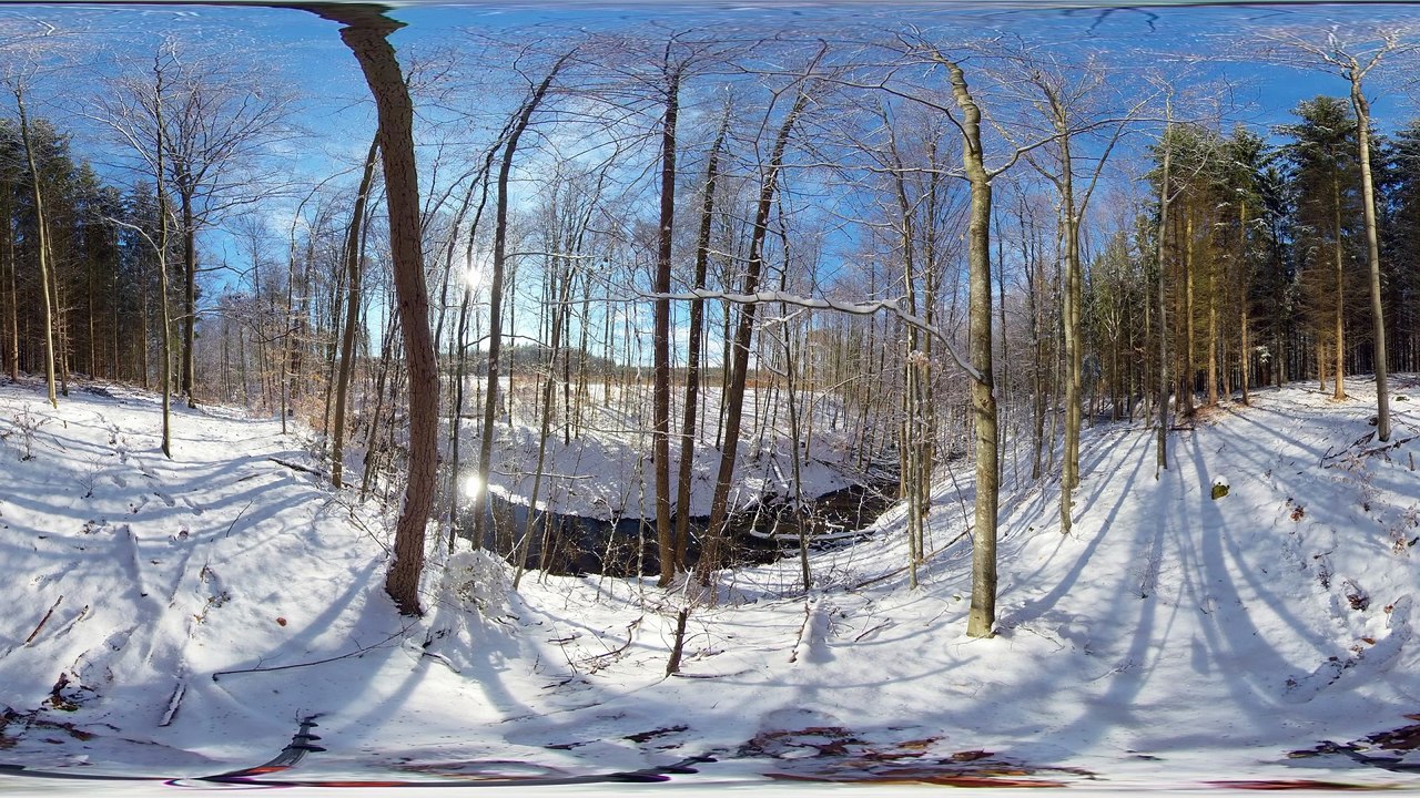 Spherical 360° VR Soothing music for relaxing - Forest by the stream