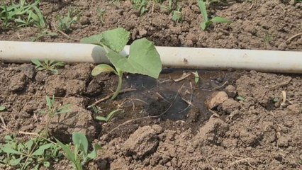 Estudiantes en El Retiro de Antón ponen en práctica la cosecha de agua