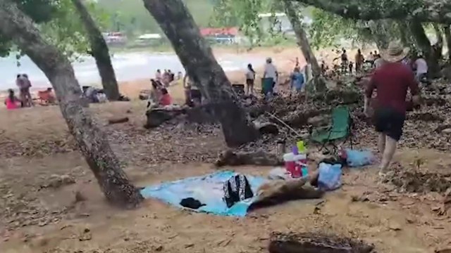 tn7-incidente-playa-de-limon-160325