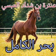 رمت الفؤاد مليحة عذراء ،  عنترة بن شداد العبسي