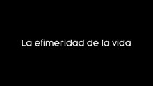 La Efimeridad De La Vida