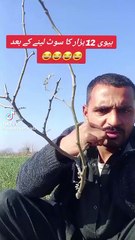 Fun,, Entertainment And Comedy