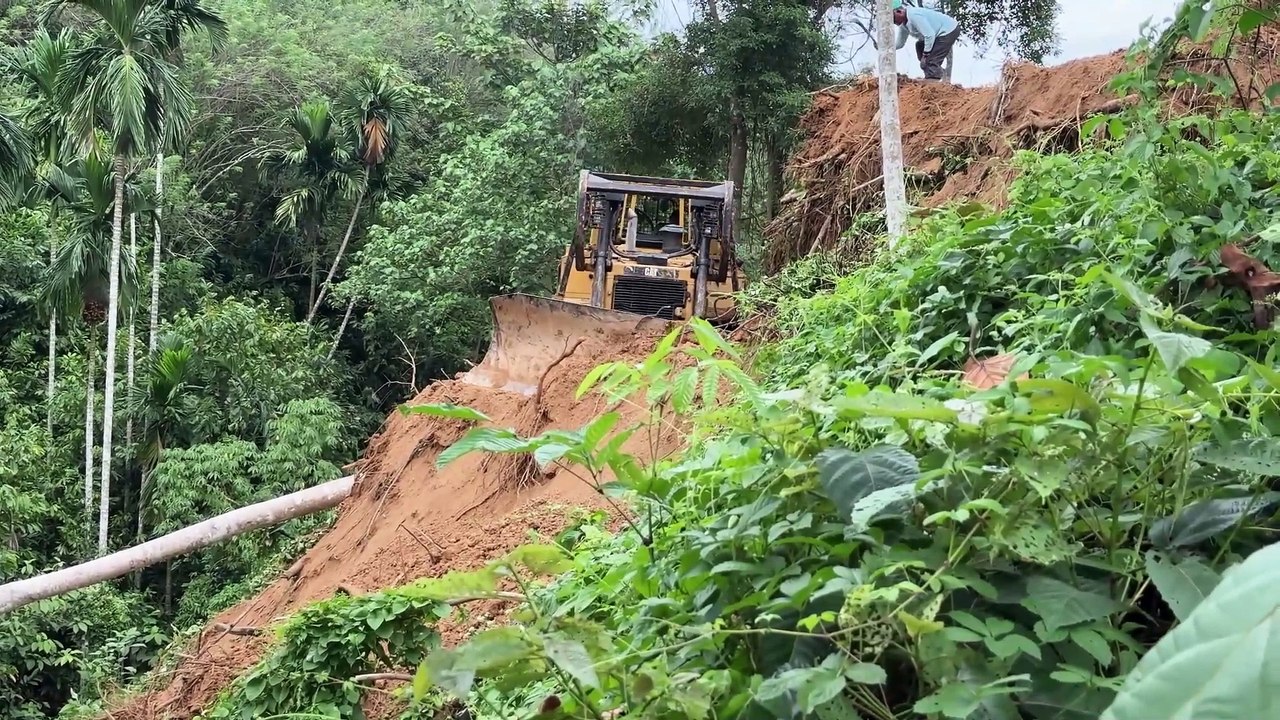 Efficient Steps to Establish a Terrace in Oil Palm Plantations with the D6R XL Bulldozer