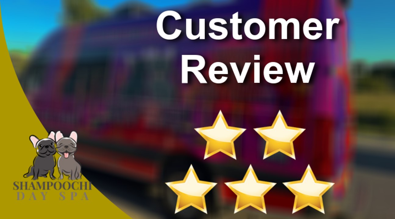 Shampoochi Day Spa Mobile Grooming 5 star Review.