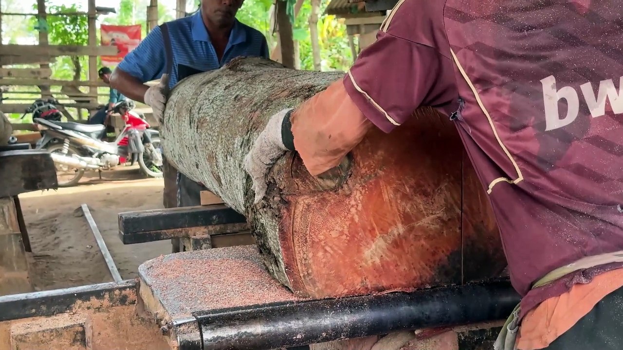 High Efficiency Cutting 2x20 Wood with Sawmill Machine