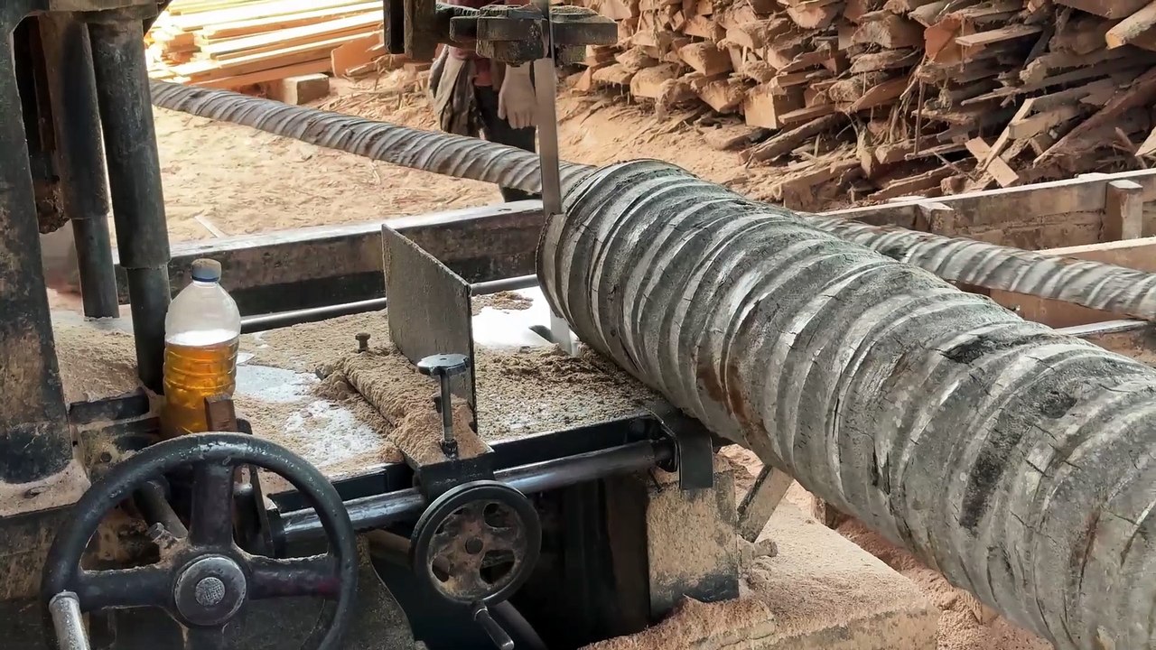 5x7 Coconut Stem Processing Process with Sawmill