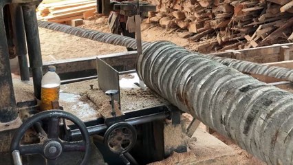 5x7 Coconut Stem Processing Process with Sawmill
