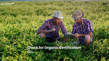 How to Buy the Best Organic Soursop Tea - A Step-by-Step Guide