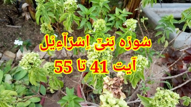 Surah Al Isra || Surah Bani Israel || quran pak ki tilawat || quran recitation || bubak learn quran ||