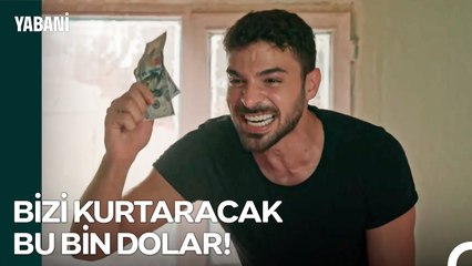 Umutları Yeşertmenin Hep Bir Yolu Vardır - Yabani