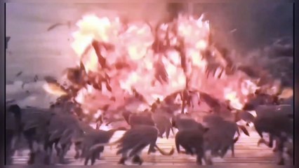 Fight chines